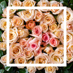 White and pink roses background ready to design and place for your text