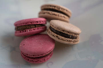 The macaroon made from chocolate in pink and brown color  on white background  