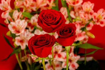 Three wet red roses over flowers and red background