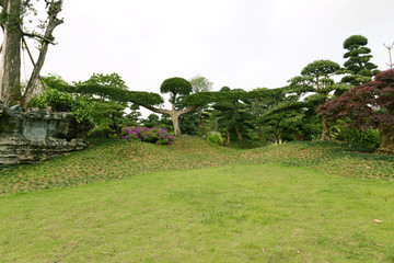 Green field in the garden