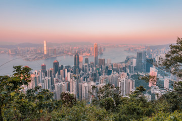 Hong Kong Night Skyline Cityscape from Victoria Peak
