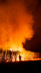 Fototapeta na wymiar Farmer burning sugarcane field