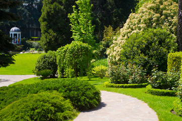 Fototapeta premium Landscape design of flowerbeds with roses and boxwood. Round flower beds in the garden.
