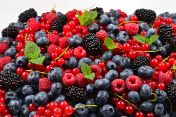 Blackberry, raspberry, blueberry,  red currant and mint background.