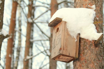 Wooden birdhouse hanging on tree in park on clear winter day. Concept of caring for animals, helping birds in winter time. Stock photo with empty space for text.