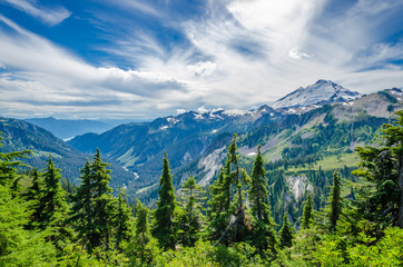 Obraz premium Beautiful Mountain Artist Ridge Trail Park. Mount Baker, Washington, USA.