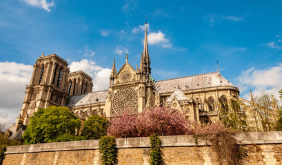 Fototapeta na wymiar Paris Notre Dame Cathedral from Seine river during the spring