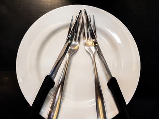 The forks and knives that are on the plate