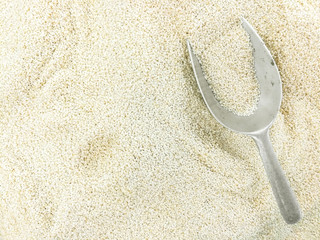 Top view heap of white sesames with aluminium scoop background and wallpaper. White sesames rich on...
