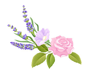 Rose Bud and Lavender Twigs Arranged in Tender Composition Vector Illustration