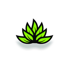 vector flower lotus leaf abstract beauty logo design