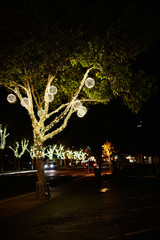 Light Decoration on Trees on a side walk at night
