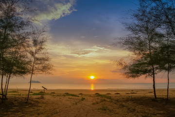 view seaside evening of pine trees on white sand beach with yellow sun light in the sky background, sunset at Laem Son Beach, Laem Son National Park, Ranong, southern of Thailand.