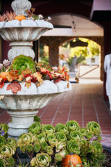 Multi level Plant Decor filled with succulent plants and autumn decorations