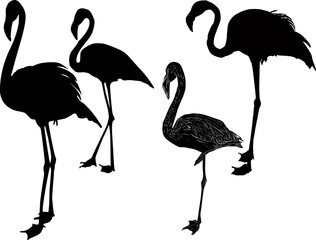 four black flamingo outlines isolated on white