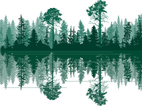 fir forest silhouette and dark reflection © Alexander Potapov