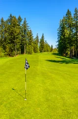 Foto op Plexiglas Gorgeous green at the beautiful golf course. © karamysh