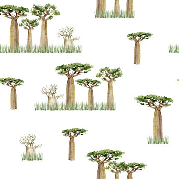 Watercolor Africa trees for baby. Hand drawn seamless pattern of large trees in the forest for the textile fabric, wrapping paper, scrapbook. Summer illustration.