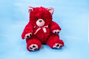 Teddy Bear toy alone with blue background