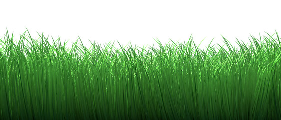 Green grass border seamless isolated