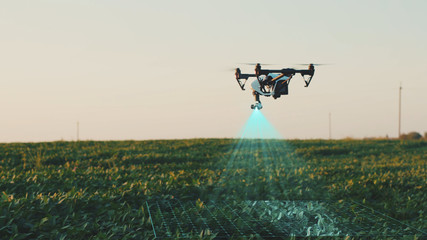 Flying Smart Agriculture Drone. Artificial Intelligence. Drone Scan Agriculture Farm. Agriculture Innovation. Farming Field Industry. Analyze the Field. Professional Vehicle Aircraft.