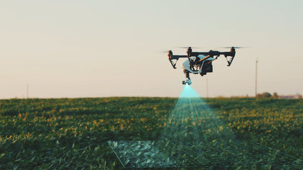 Flying Smart Agriculture Drone. Artificial Intelligence. Drone Scan Agriculture Farm. Agriculture Innovation. Farming Field Industry. Analyze the Field. Professional Vehicle Aircraft.