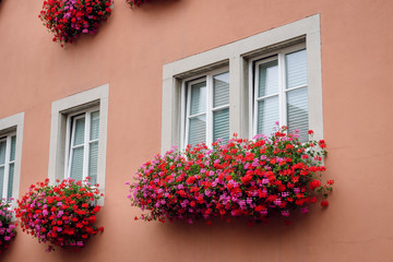 Close-up view of a facade decoration.  Windows decorated with beautiful red and pink flowers, Rothenburg ob der Tauber, Bavaria, Germany.