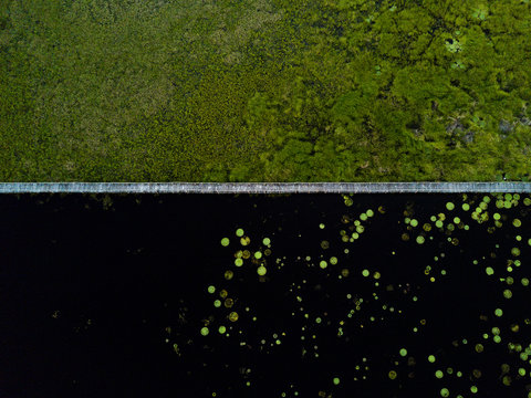View of Pantanal from above, Mato Grosso, Brazil