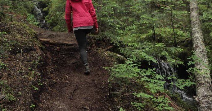 Woman hiking in rainforest of British Columbia.