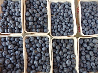 Heidelbeeren in der Schale