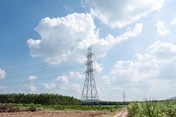 Electricity transmission line with sugar cane fiields, Green conservative energy, Power...