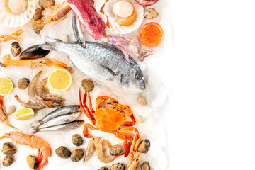 Fish and seafood variety, shot from the top on a white background with copy space. Fish, shrimps, crab, squid, clams, scallops, a design template with a place for text