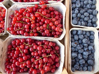 Rote Johannisbeeren und Heidelbeeren in der Schale