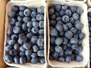 Zwei Schalen Heidelbeeren