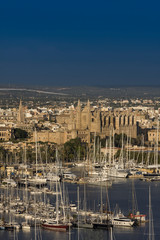 Fototapeta premium View on harbour, old town and cathedral, Palma, Majorca, Spain, Europe
