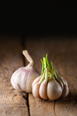 Garlic on a wooden table. Heads of garlic on a dark background. Beautiful black on a wooden board. Seasoning. Good for your health