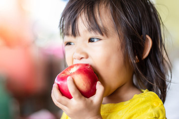 Portrait image of 1-2 years old of baby. Happy Asian child girl eating and biting an red apple....