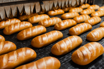 The oven in the bakery. Hot fresh bread leaves the industrial oven in a bakery. Automatic bread production line