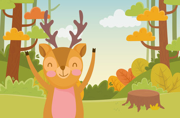 cute fox trunk trees nature forest foliage landscape