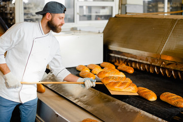 A baker picks up hot bread from a industrial oven with a wooden shovel. Industrial bread production