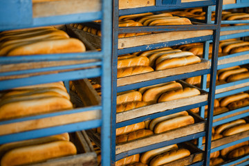 Shelves with hot fresh bread in a bakery. Industrial bread production