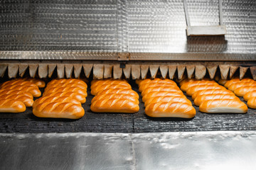 Industrial conveyor oven in a bakery. Hot bread leaves the automated oven. Industrial bread production