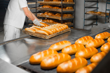 The oven in the bakery. Hot fresh bread leaves the industrial oven in a bakery. Automatic bread...