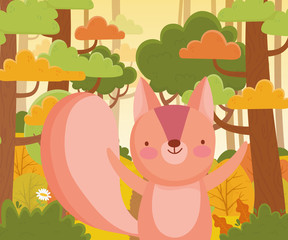Obraz na płótnie Canvas cute squirrel nature forest foliage landscape cartoon