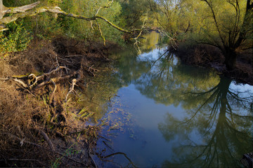 The Odra River in autumn, Croatia