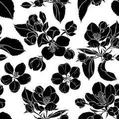 Seamless pattern with blooming apple tree branches. Black silhouettes on white. Floral vector background.
