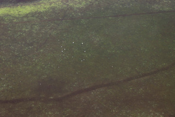 Aerial view of the floodplain and pastures of the Odra River, Croatia