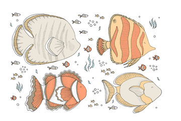 Drawing - funny fishes and hand drawn elements