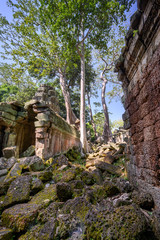 Ta Prohm temple at Angkor Wat complex, Siem Reap, Cambodia