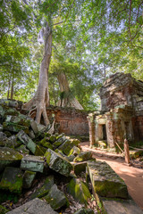 Ta Prohm temple at Angkor Wat complex, Siem Reap, Cambodia